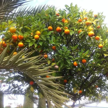 Dominion Estepona
